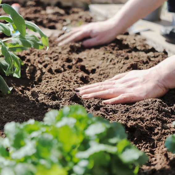 Grünholz Berga WWOOF