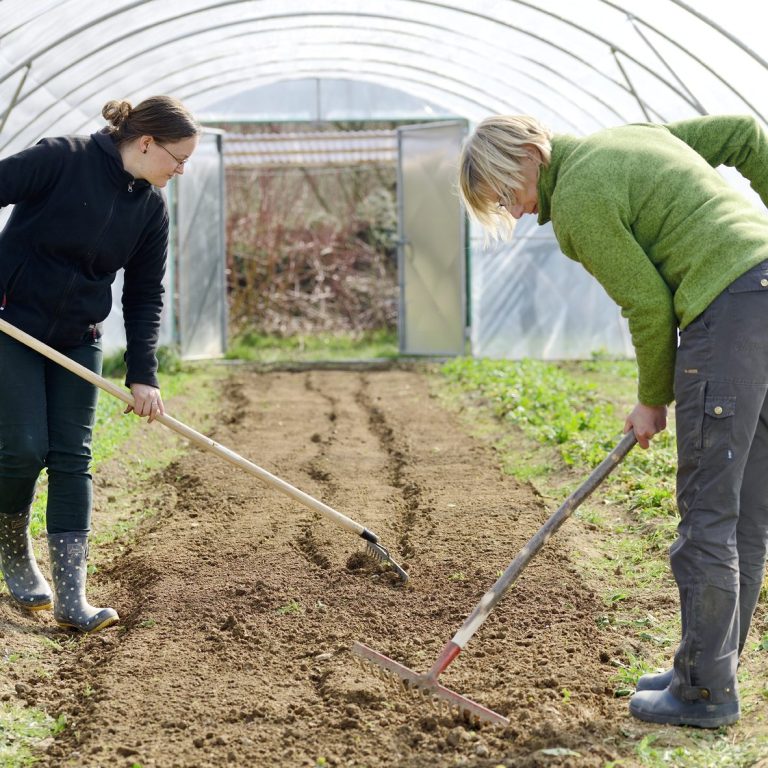 Regiola Berga Gartenarbeit