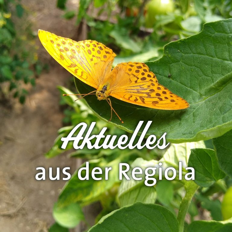 Regiola Berga Mitmachgarten Aktuell